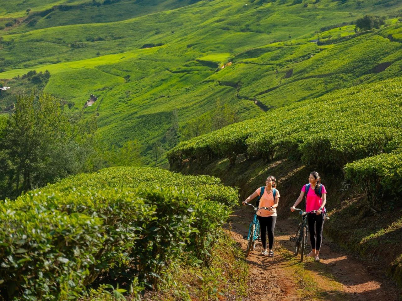 Le Montfort Resort Munnar Εξωτερικό φωτογραφία